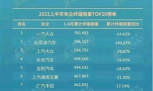 2013年家用轿车销量排行榜_2013上